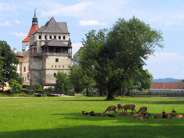 Apartmán Podskalská Blatná Esterno foto